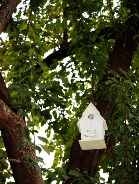 Villa Magnolia Relais Roma Eksteriør bilde